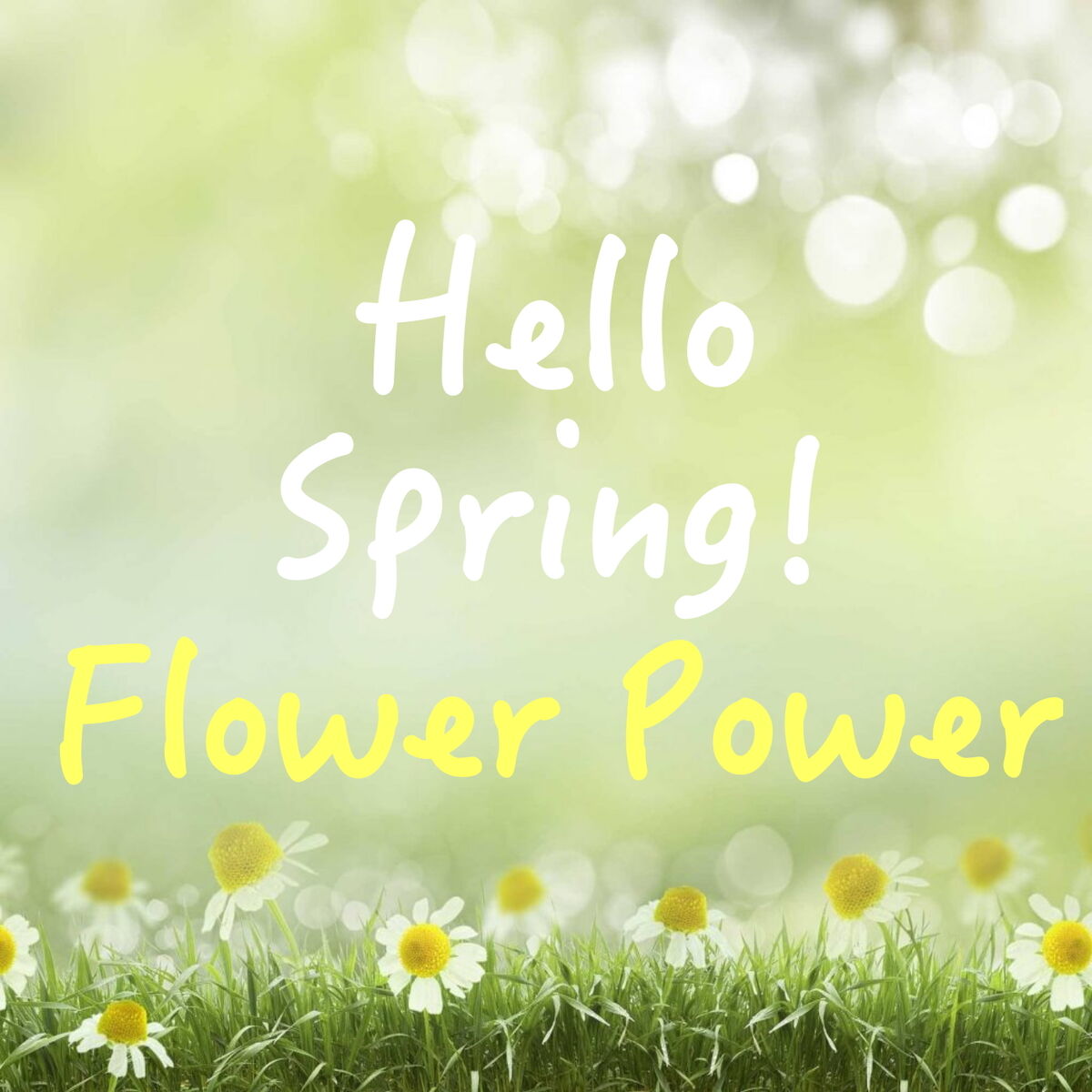 Album cover of Hello Spring! Flower Power