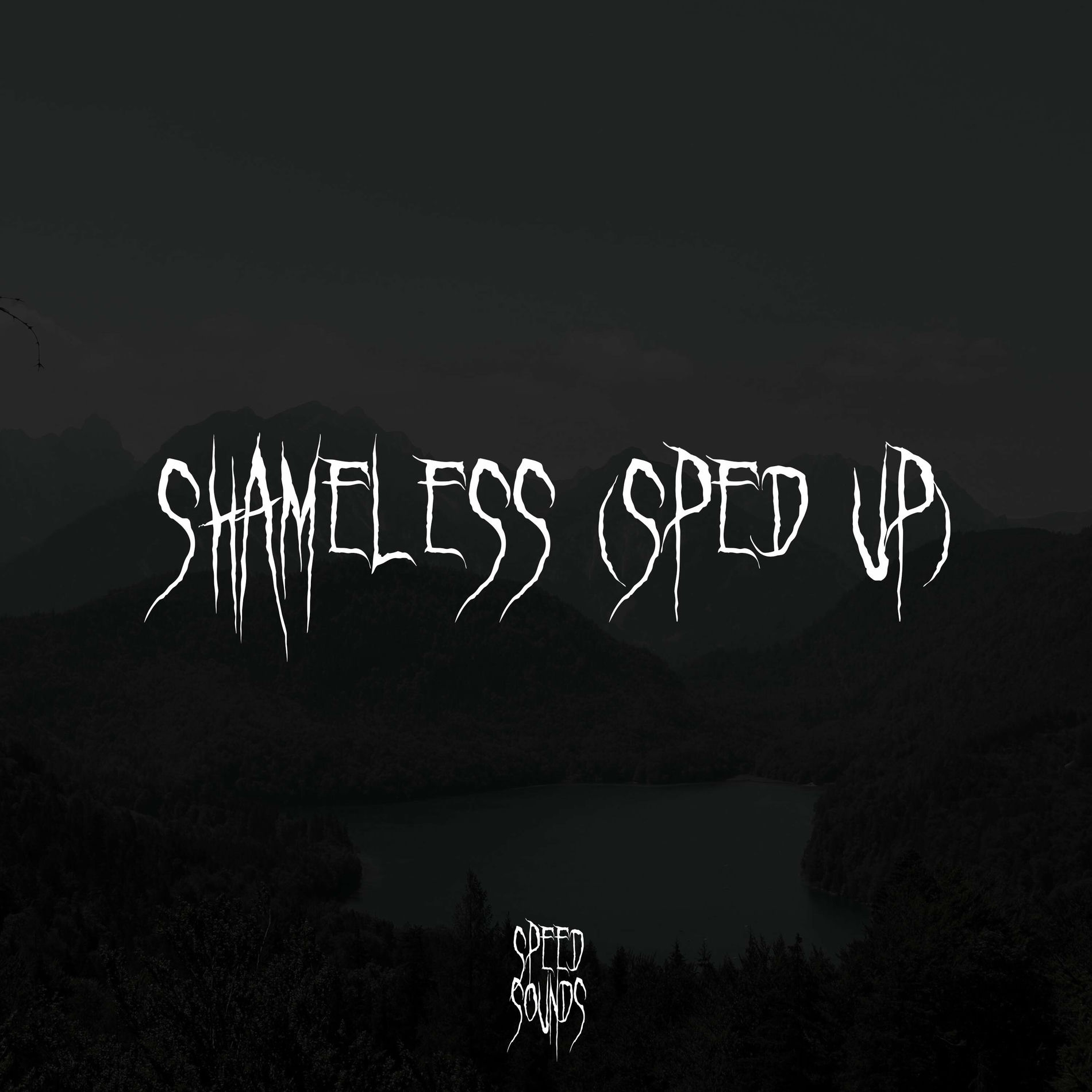 Album cover of Shameless