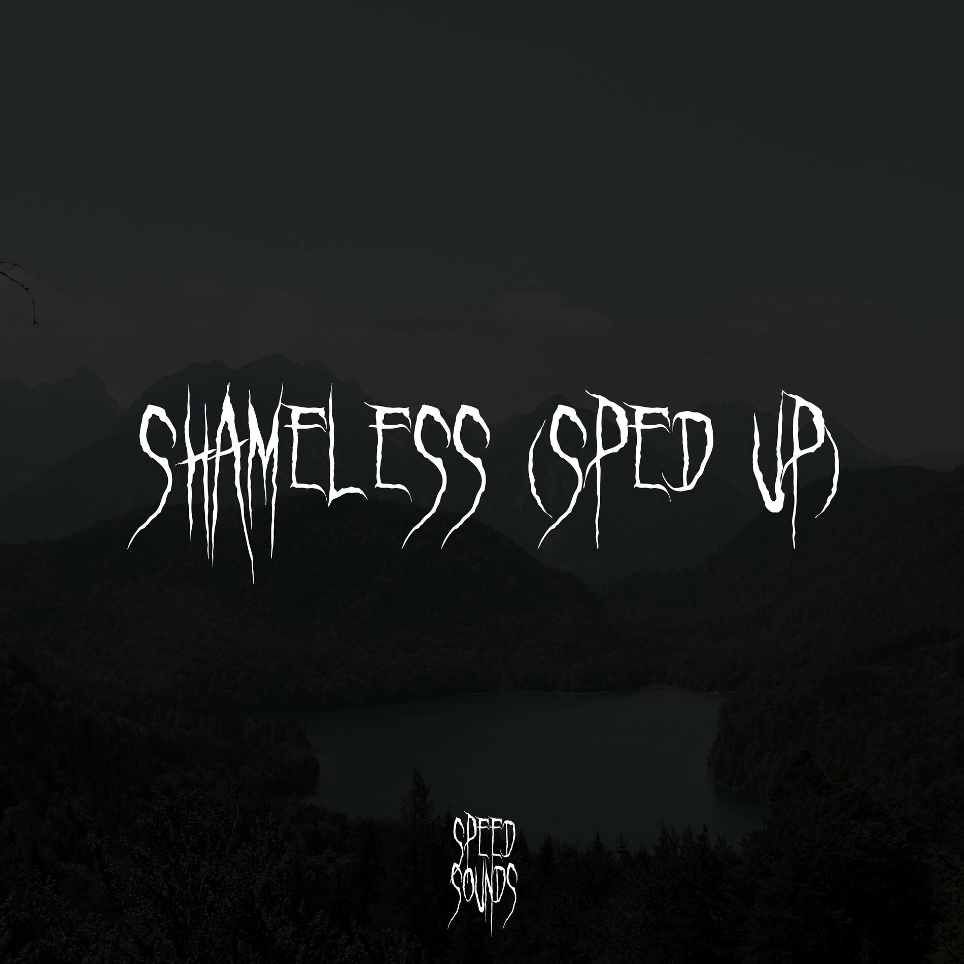 Album cover of Shameless (Sped Up)