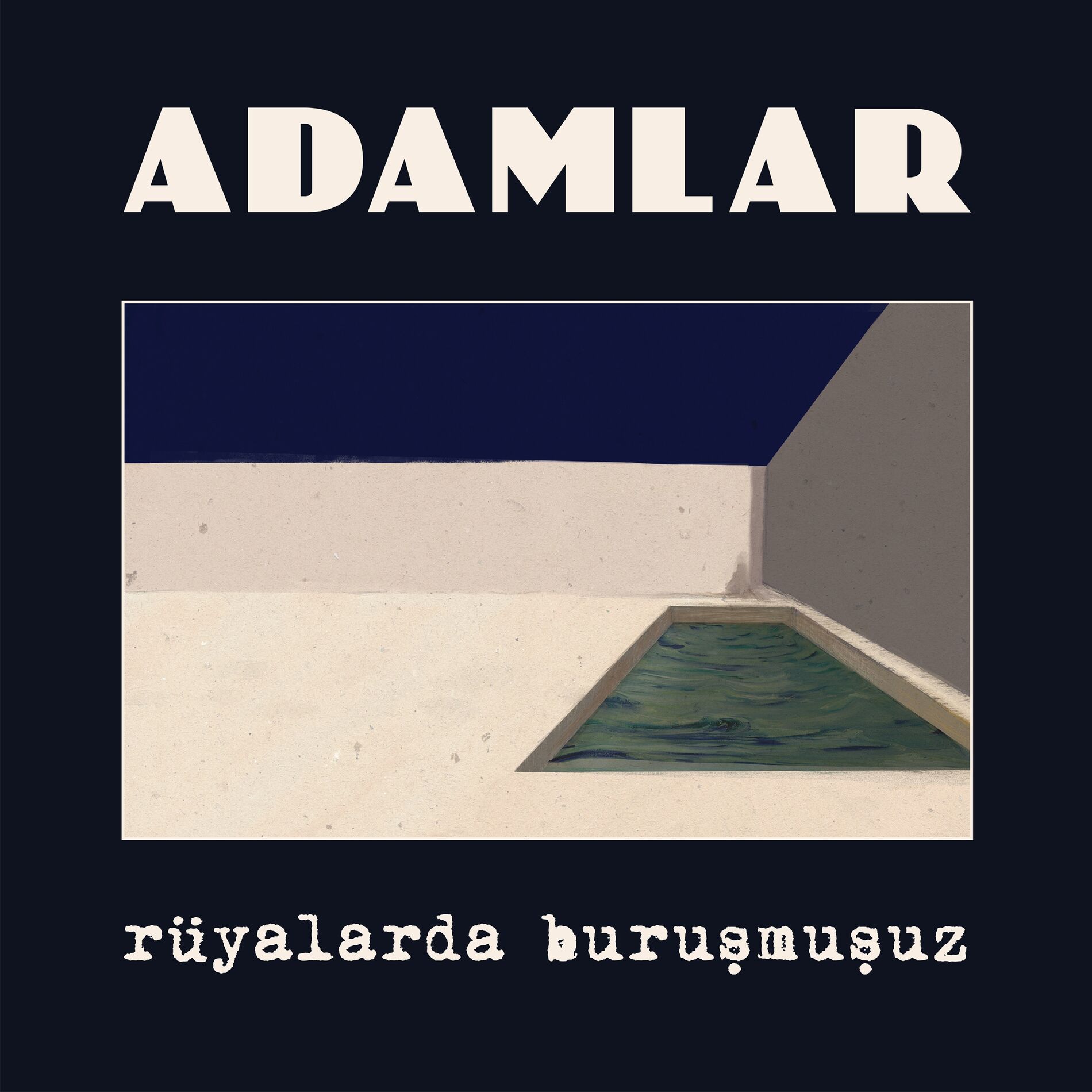 Album cover of Acının İlacı