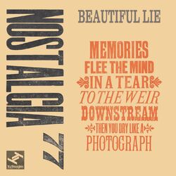 Cover of Beautiful Lie