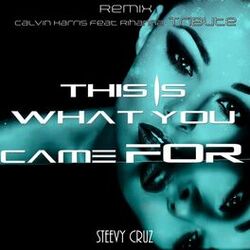 Cover of This Is What You Came For (Remix Calvin Harris Feat Rihanna Tribute)