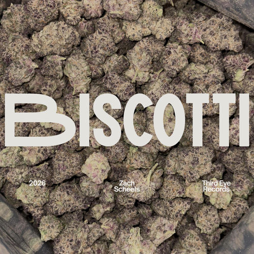 BISCOTTI artwork