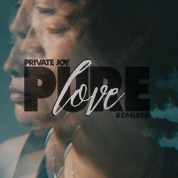 Pure Love (Lenzman Remix)