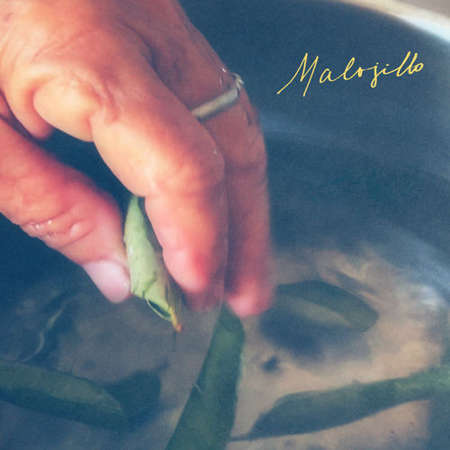 Malojillo artwork