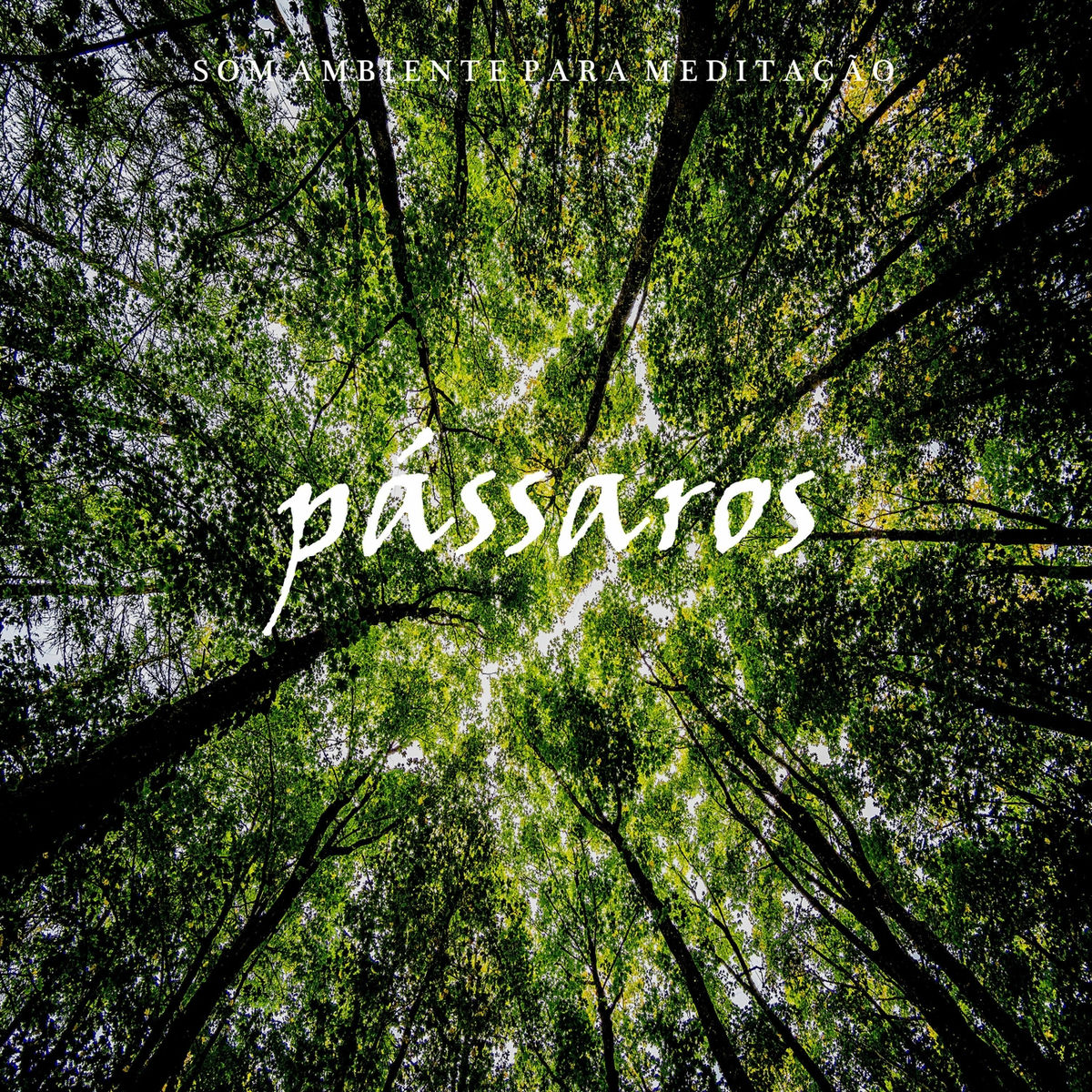 Album cover of Som Ambiente para Meditação: Pássaros