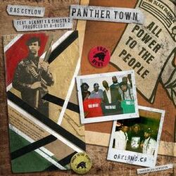 Cover of Panther Town