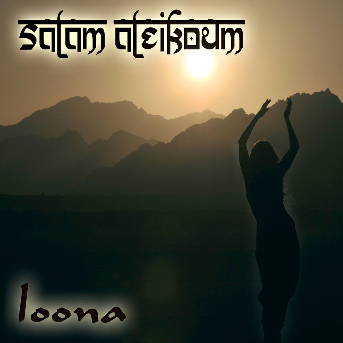 Album cover of Salam Aleikoum