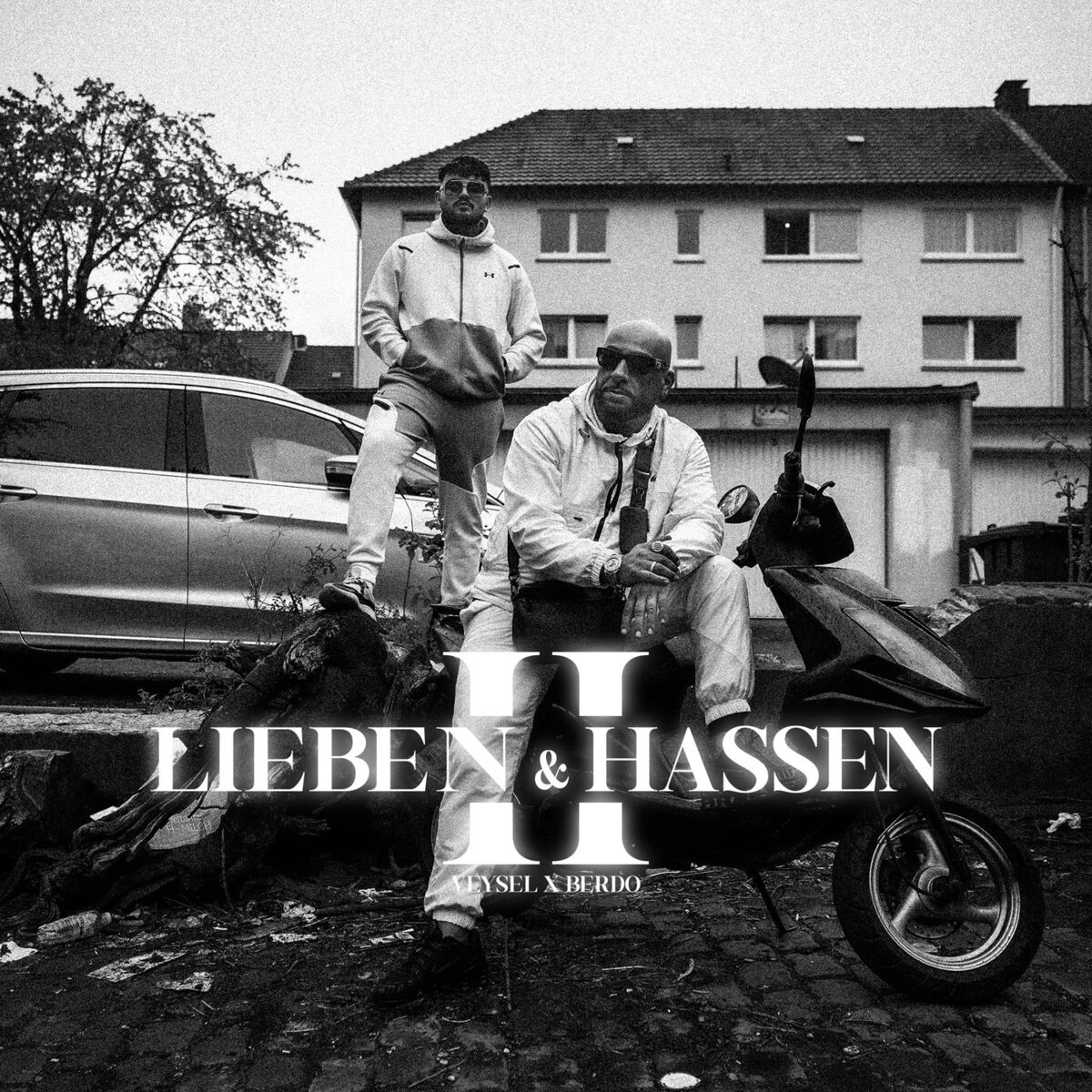 Album cover of Lieben & Hassen II