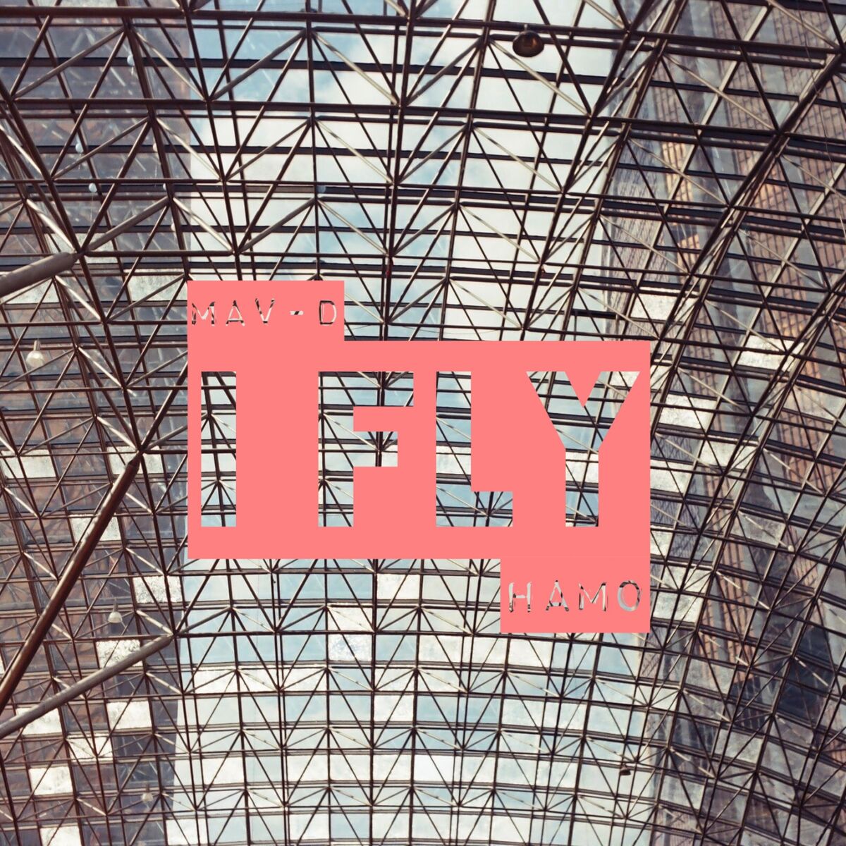 Album cover of I Fly