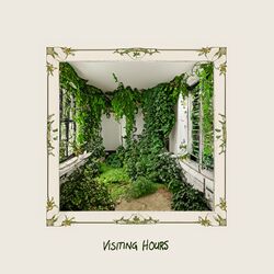 Cover of Visiting Hours