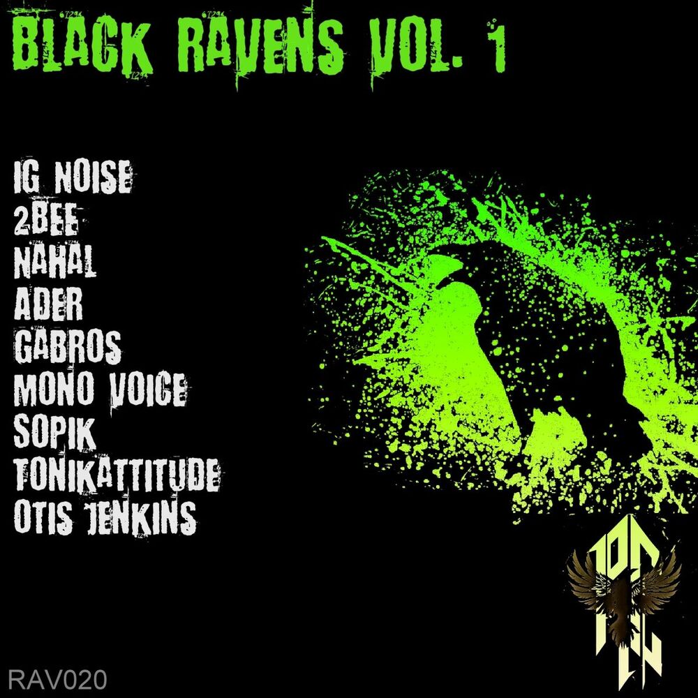 Picture of Black Ravens Vol.1