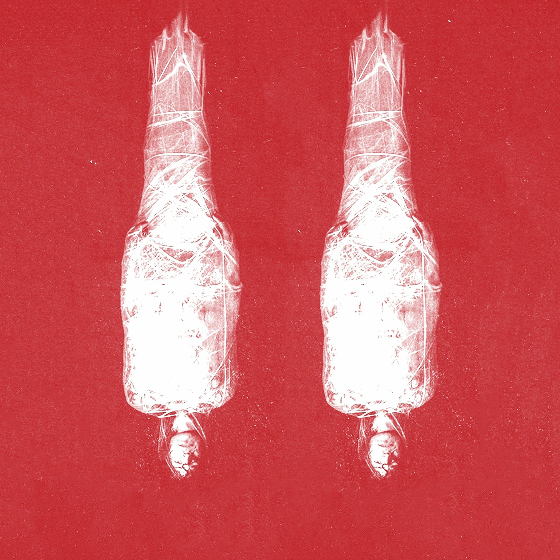 Album cover of TWO OF US