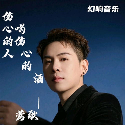 伤心的人喝伤心的酒 (DJ版)