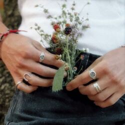 Cover of Picket Fence