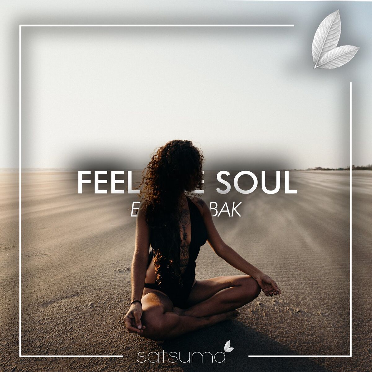 Album cover of Feel the Soul