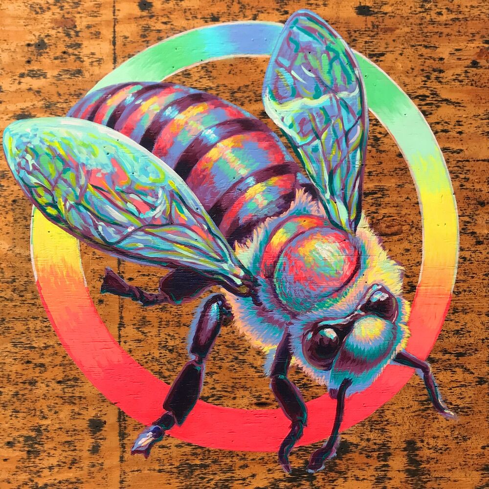 Picture of Fundamental Thrive Hive