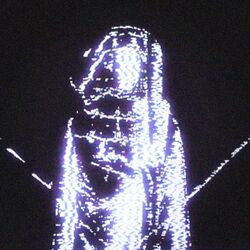 Cover of all alone.
