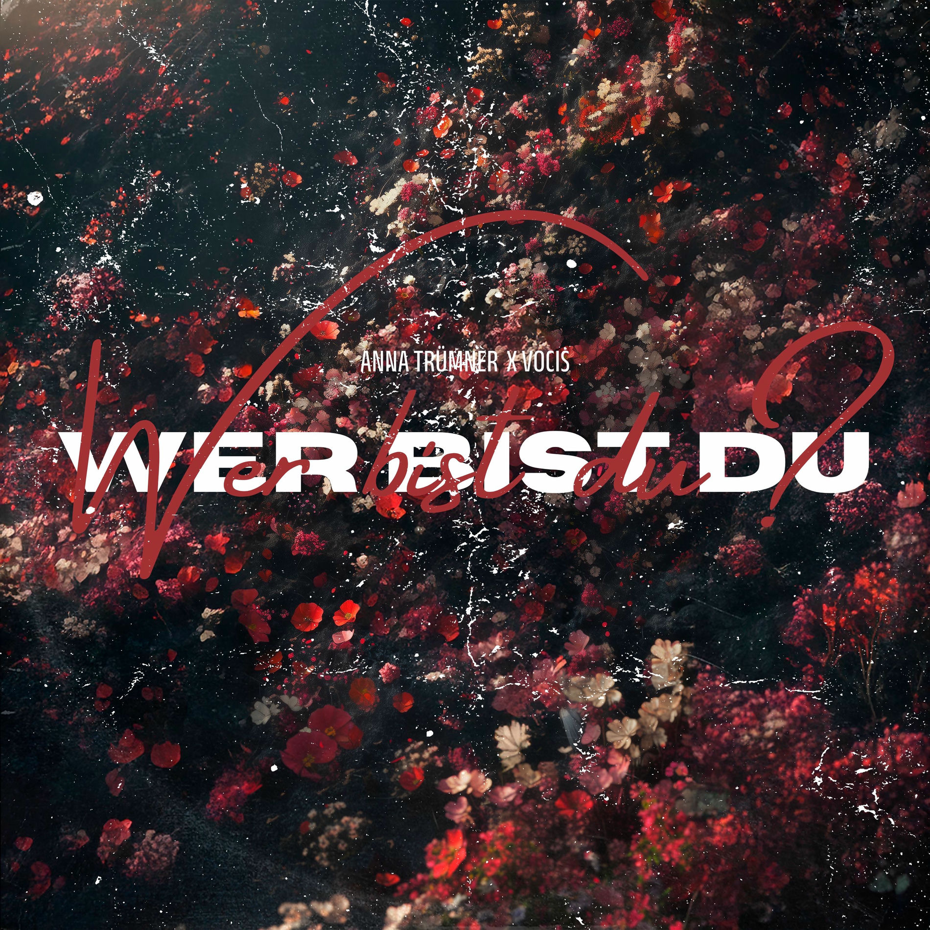 Album cover of Wer bist du?