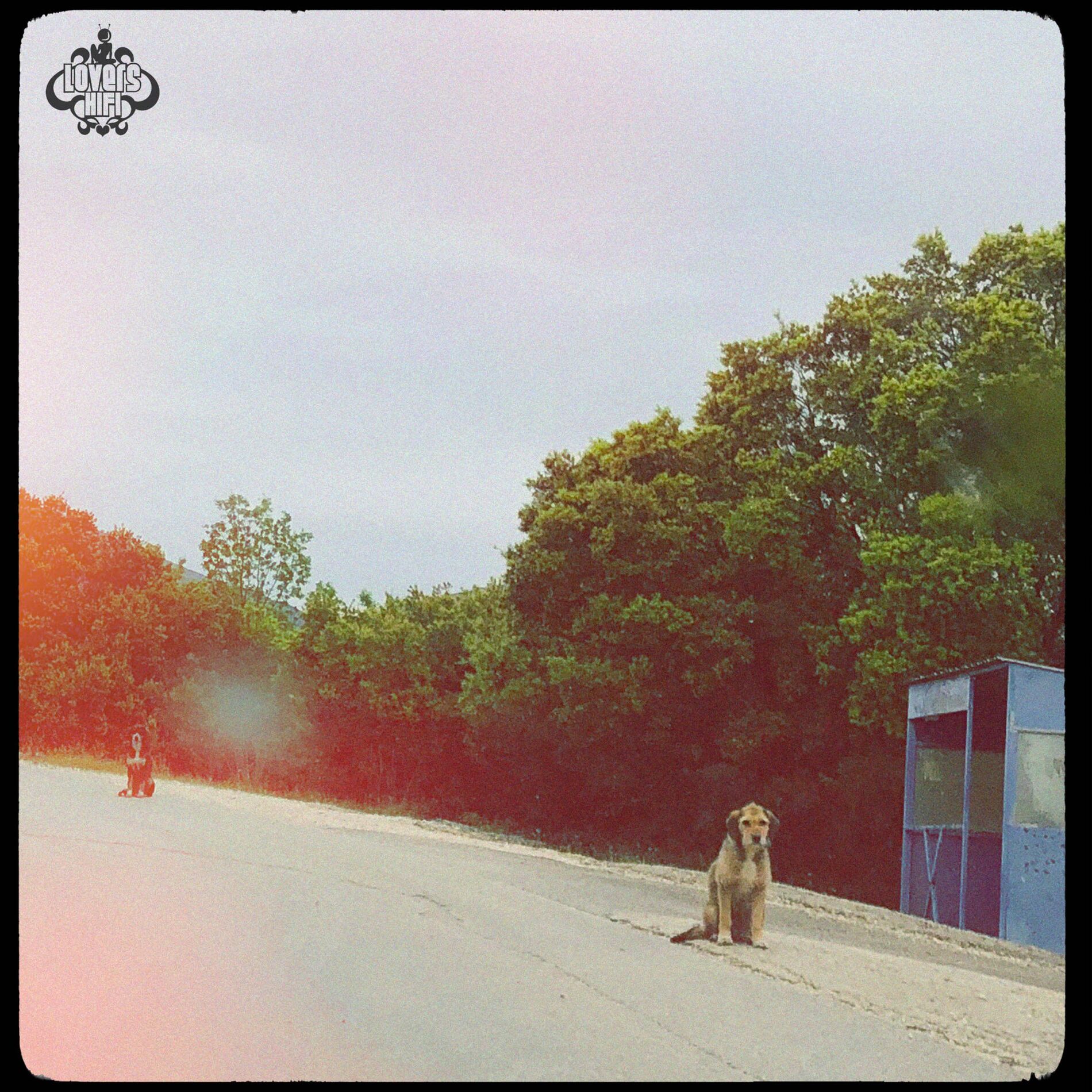 Album cover of Minority