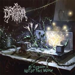 My Kingdom Is Not of This World