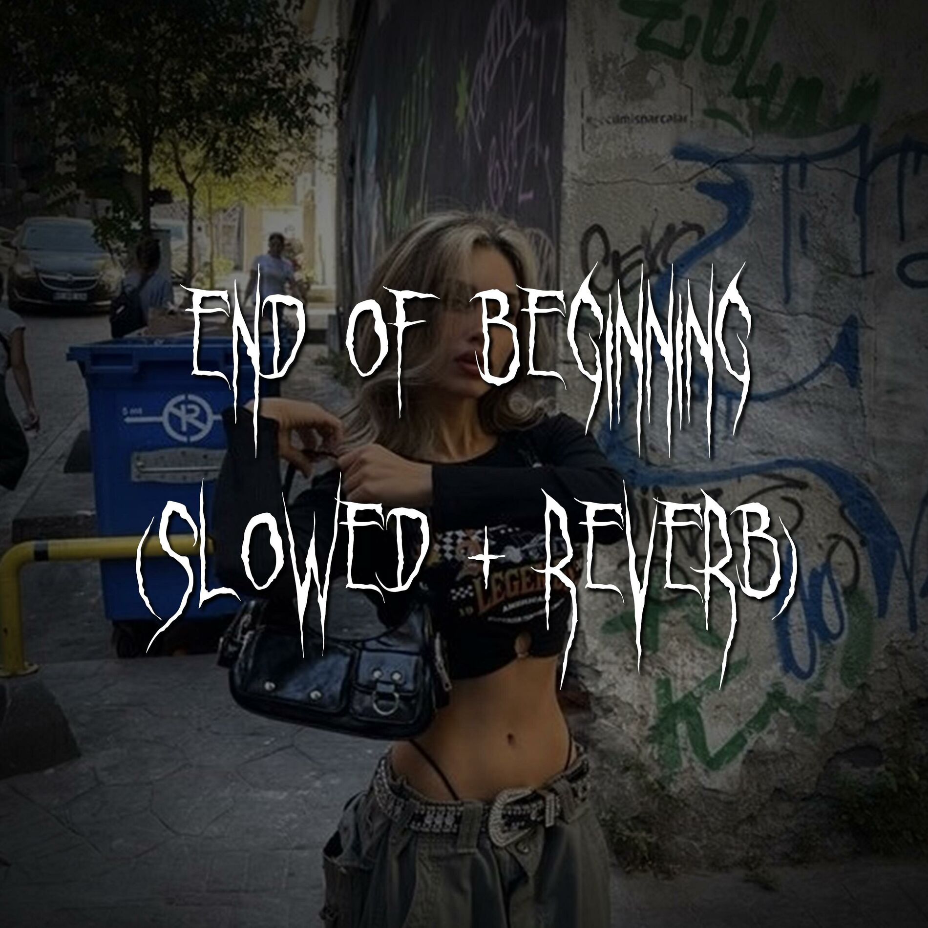 Album cover of end of beginning
