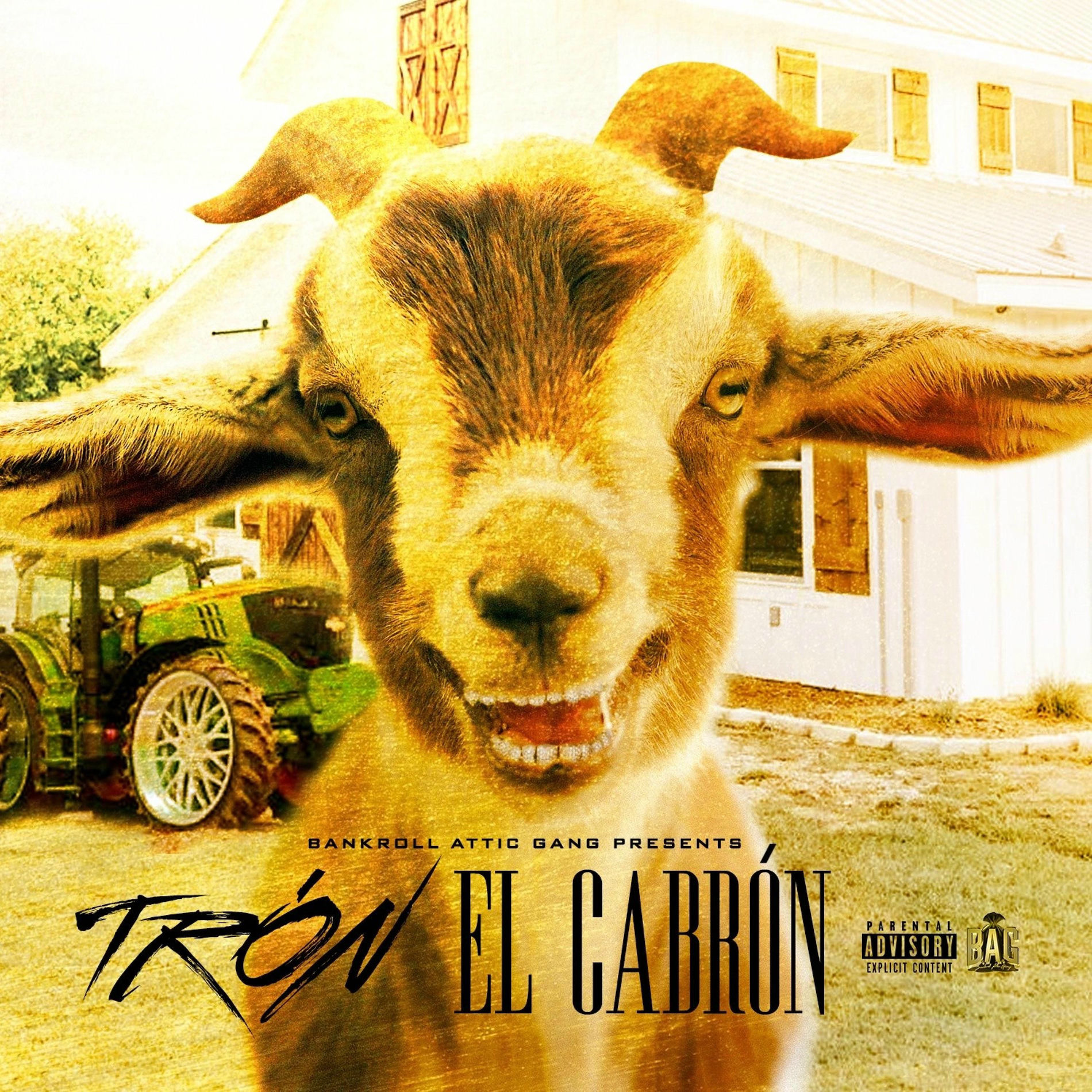 Album cover of El Cabrón