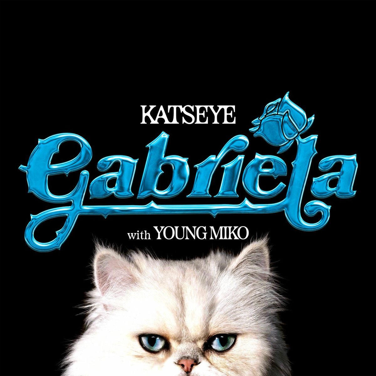 Album cover of Gabriela