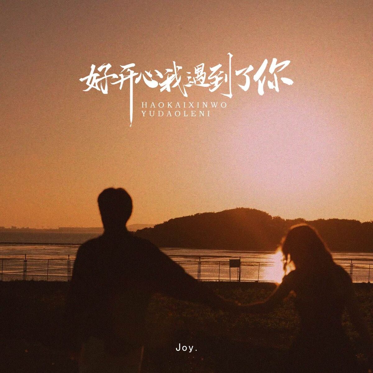 Album cover of 好开心我遇到了你 (Hate Me Remix)