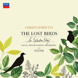 Cover of The Lost Birds