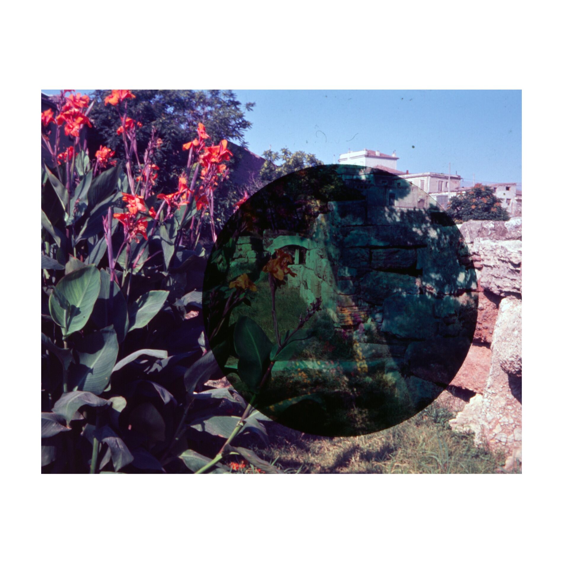 Album cover of Number 13