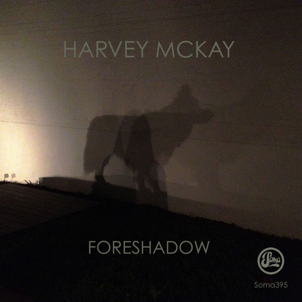 Picture of Foreshadow