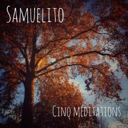Cover of Cinq méditations