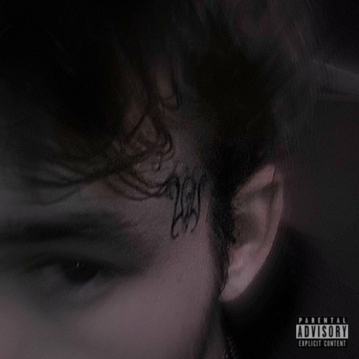 Album cover of Switch