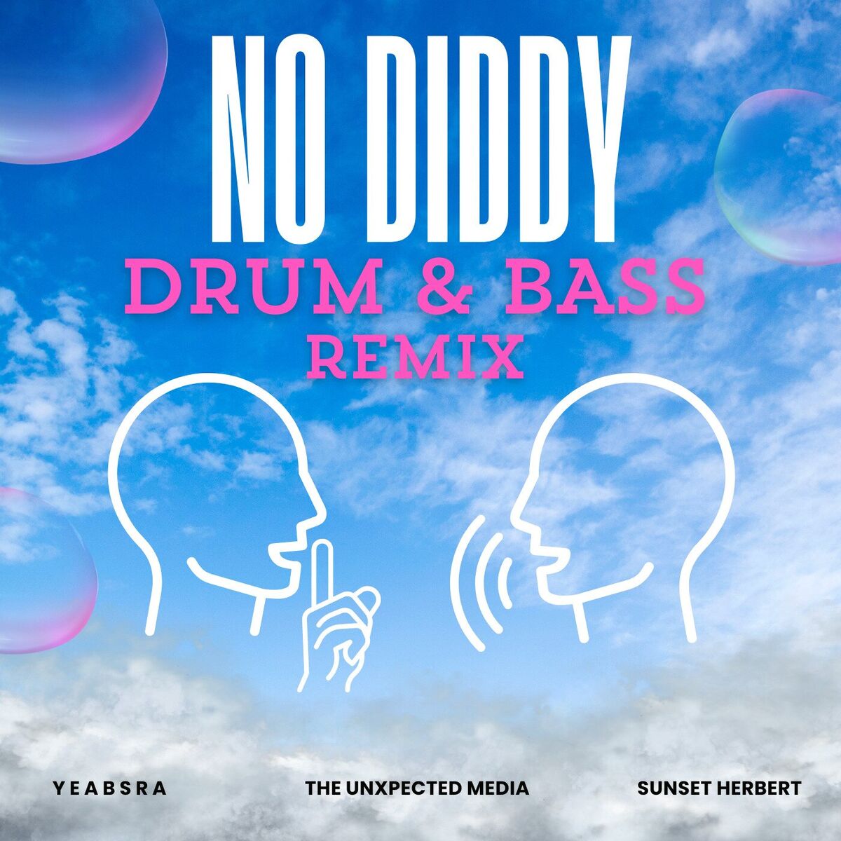 Album cover of No Diddy