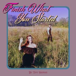 Cover of Finish What You Started