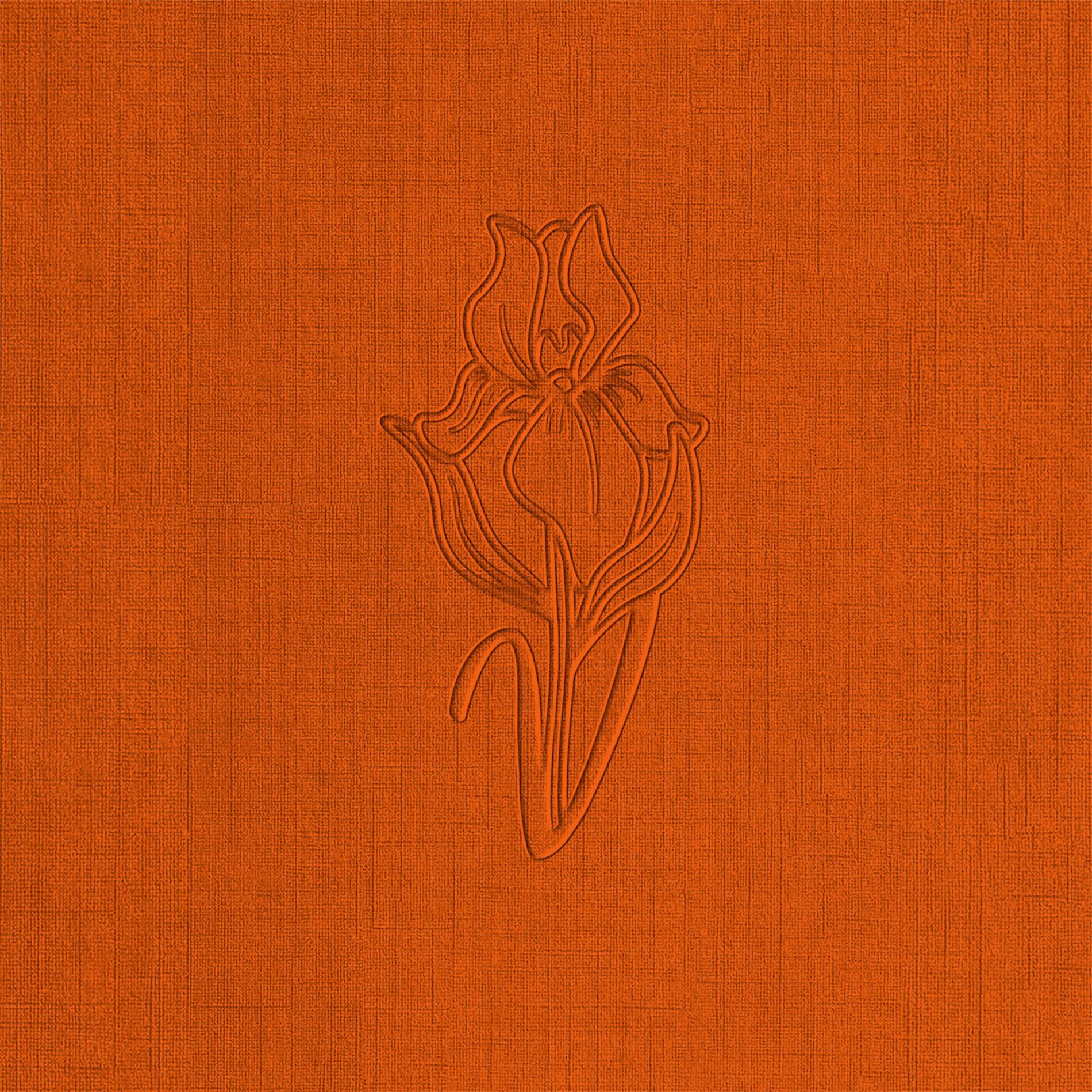 Album cover of UnLonely