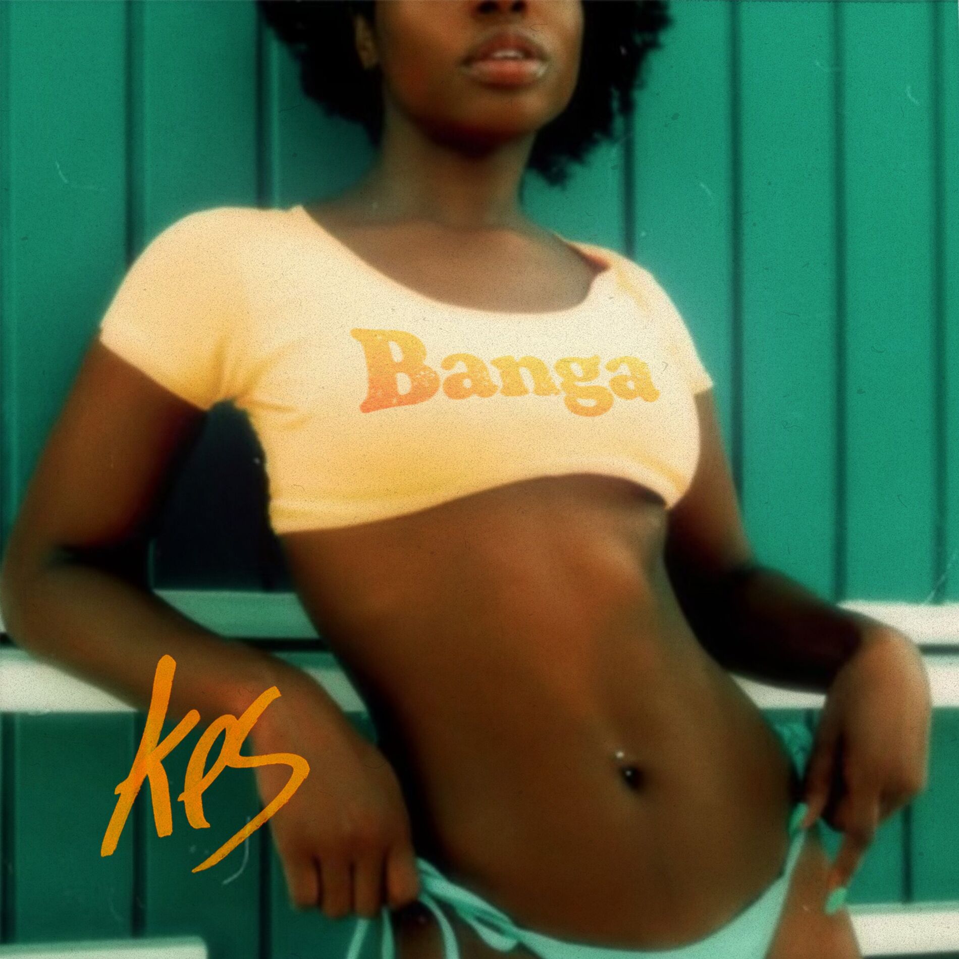 Album cover of Banga