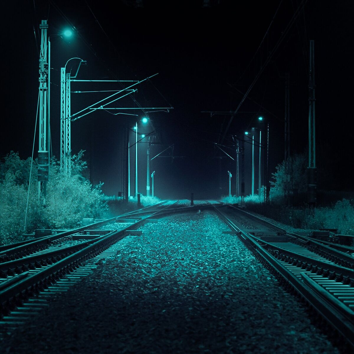 Album cover of in the shadows