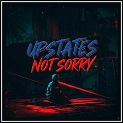 Cover of NOT SORRY