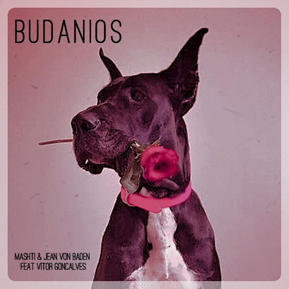 Picture of Budanois