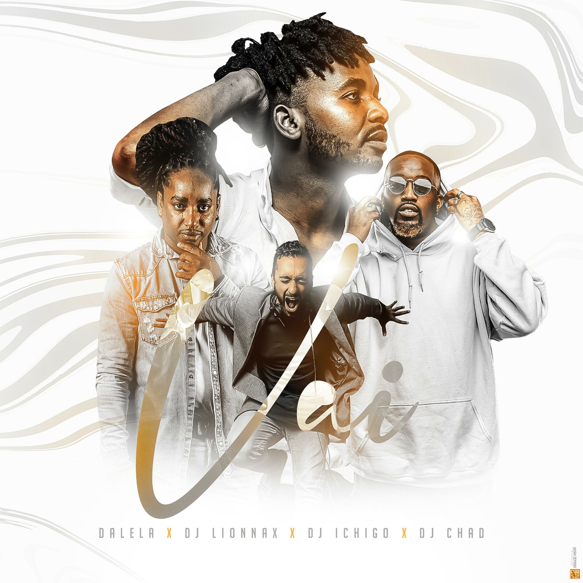 Album cover of Vai