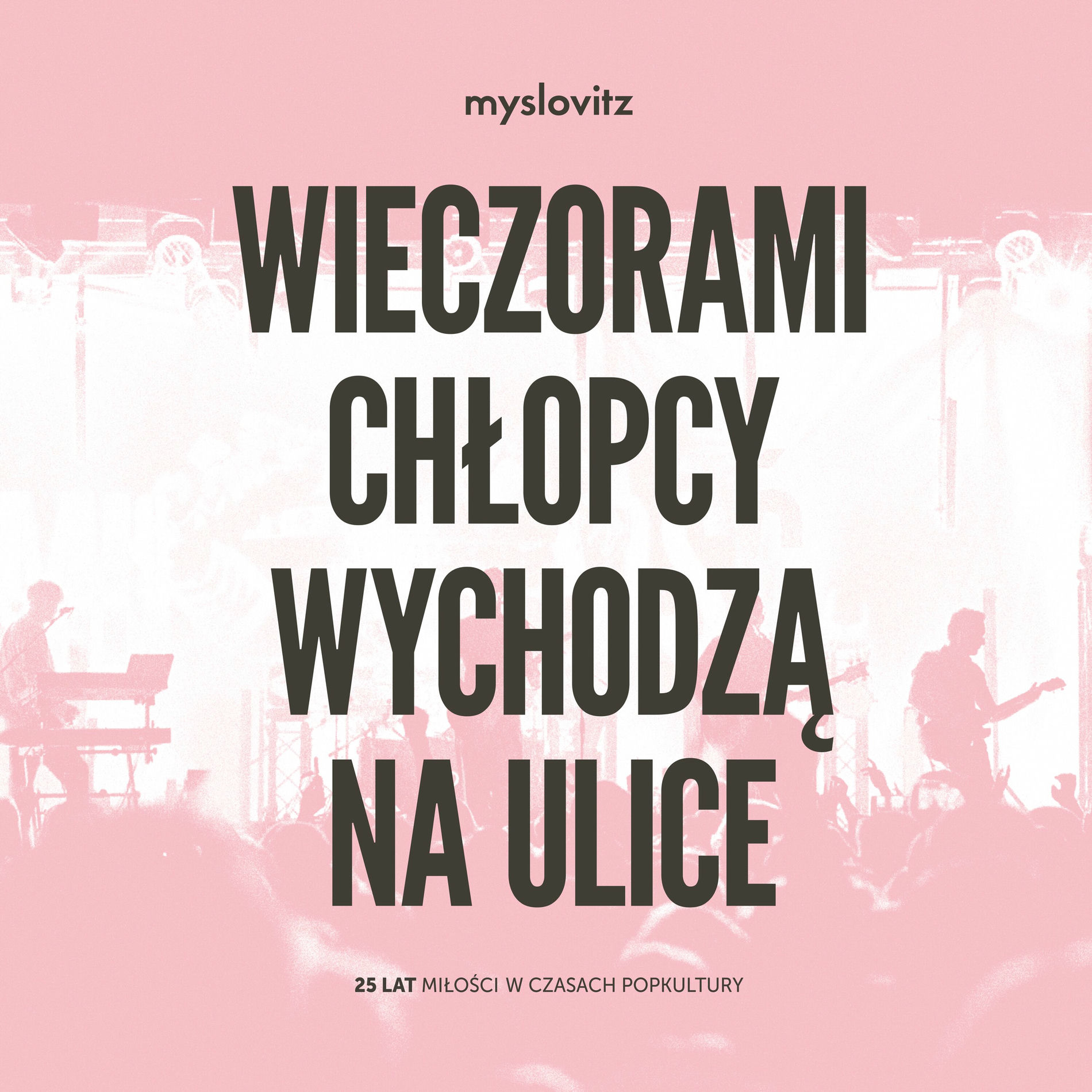 Album cover of WIECZORAMI CHŁOPCY WYCHODZĄ NA ULICE
