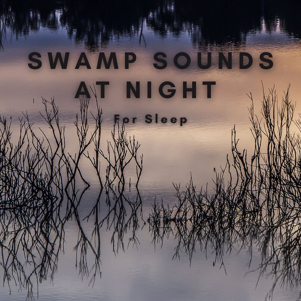 Picture of Swamp Sounds at Night for Sleep