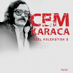 Özel Koleksiyon, Vol. 2