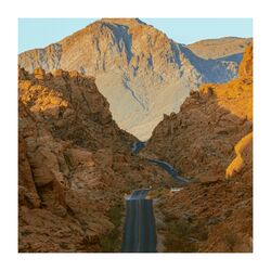 Cover of Chill and Study