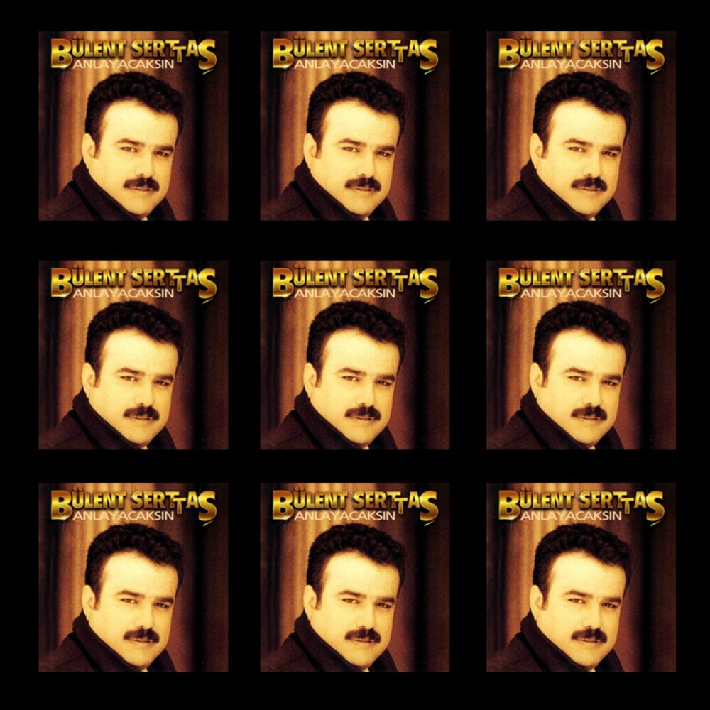 Picture of Anlayacaksın