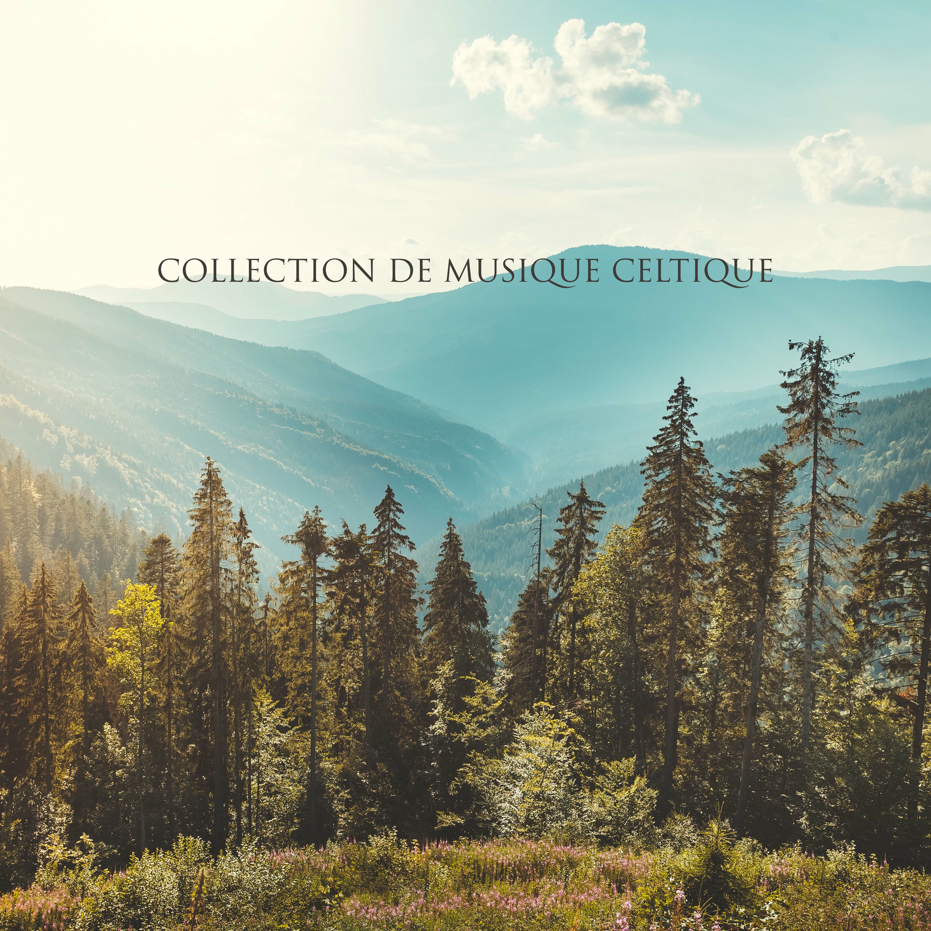 Album cover of Collection de musique celtique et relaxation profonde: Fond paisible et oasis de nature