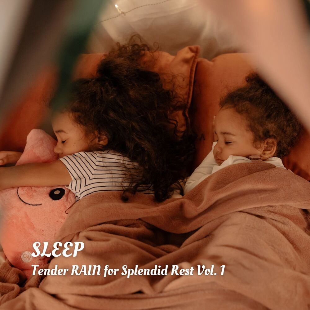 Picture of SLEEP: Tender RAIN for Splendid Rest Vol. 1
