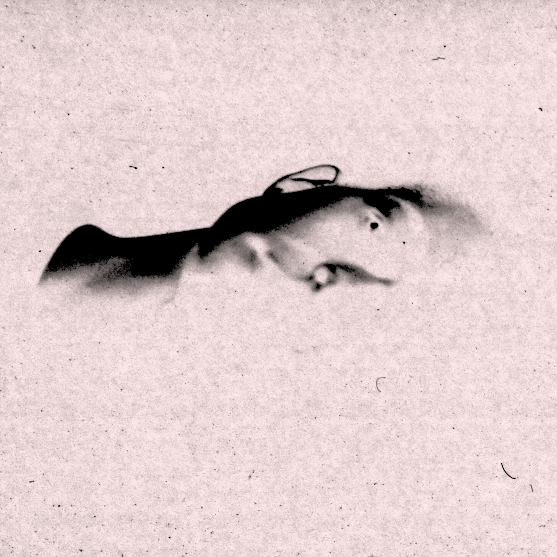 Album cover of Never (Reworked)